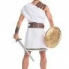 Be Wicked Mighty Mercenary Gladiator Male Costume
