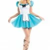 Be Wicked COSTUMES Wonderland Hero Costume